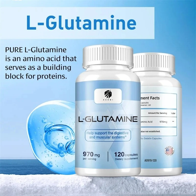 Nutrition Fitness Supplements - L-Glutamin-Ergänzungsmittel für das Training, Muskelregeneration, Verbesserung