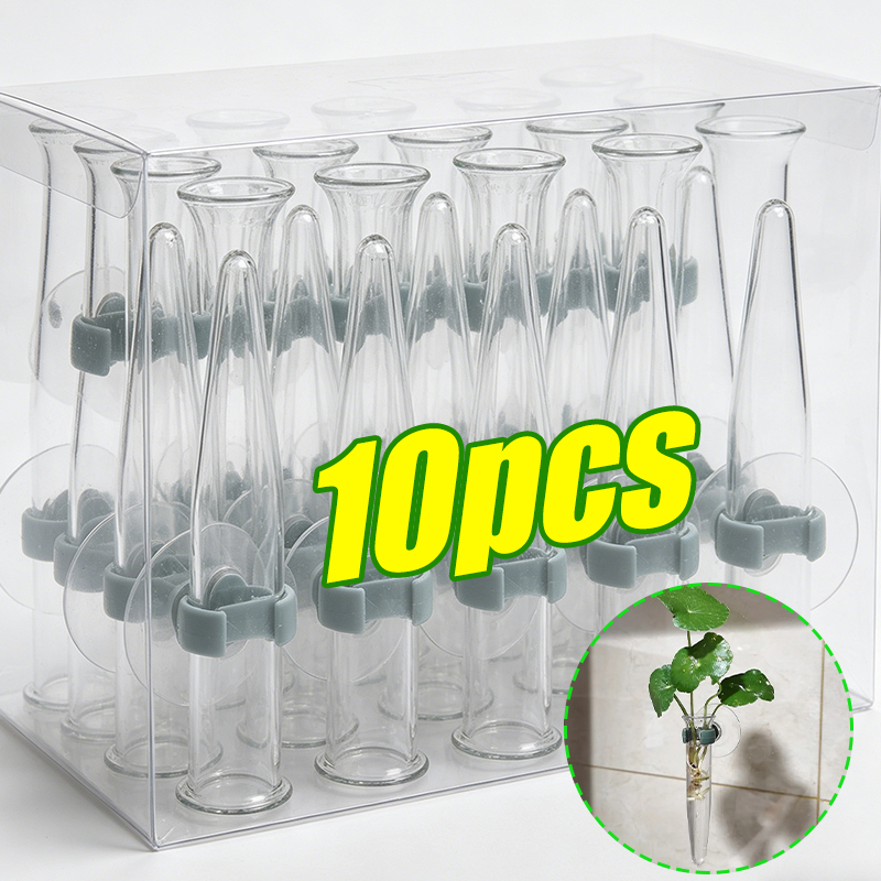 11cm Blumen-Wasserröhrchen Kun – Nutrition & Fitness Coaching Fulham Bewertung und Preis