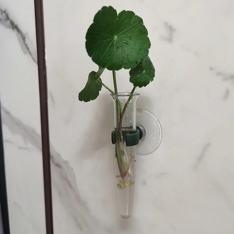 11cm Blumen-Wasserröhrchen Kun – Nutrition & Fitness Coaching Fulham Bewertung und Preis