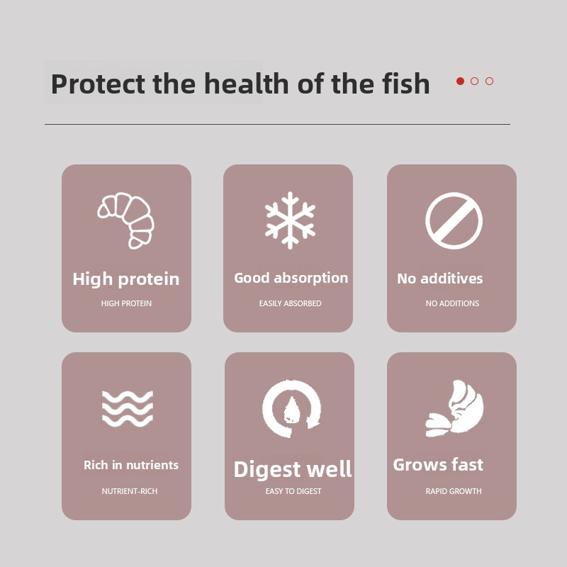 PENISON Pulver Babyfischfutter – Whey Protein Isolate Bewertung und Preis