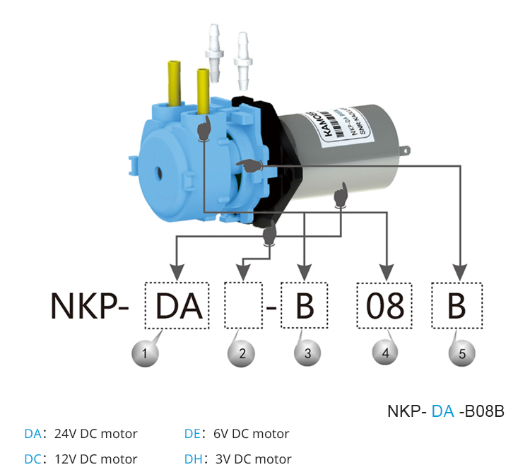 2026 neue NKP 6V 12V 24V DC-Mo – Nutrition & Fitness Coaching Fulham Bewertung und Preis