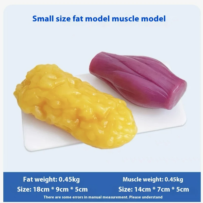 Menschliche Muskel- und Fettre – Nutrition In Fitness Bewertung und Preis